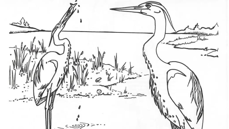 Nature pei revives colouring book to connect kids to natural world news