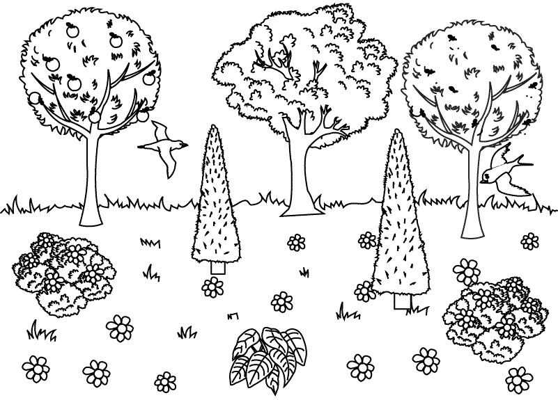 Coloring pages