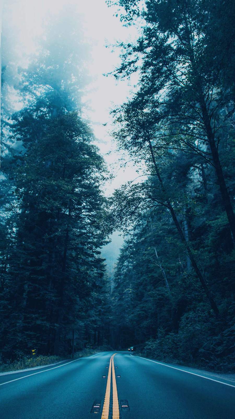 K nature road iphone wallpaper