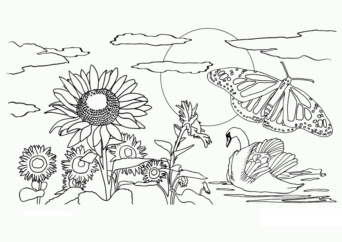 Free printable nature coloring pages for kids