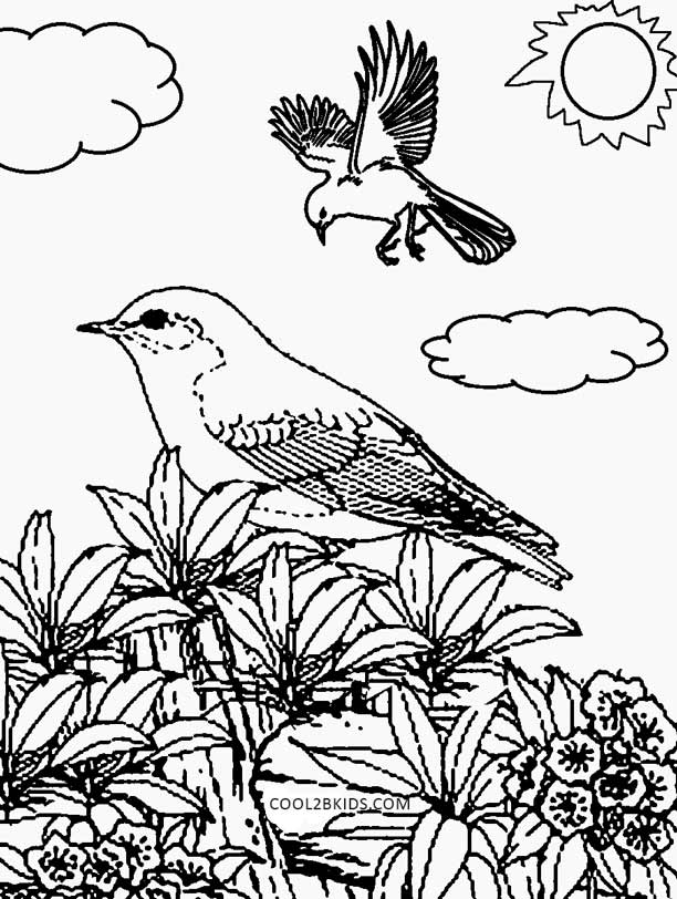 Free printable nature coloring pages for kids