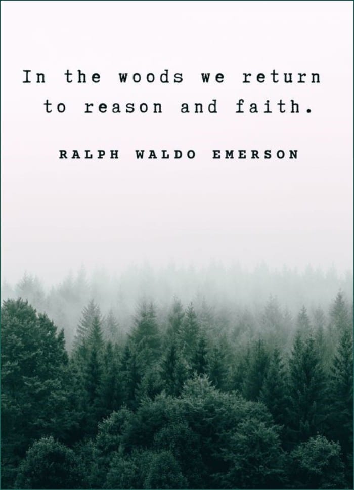 Download Free 100 + nature quotes Wallpapers