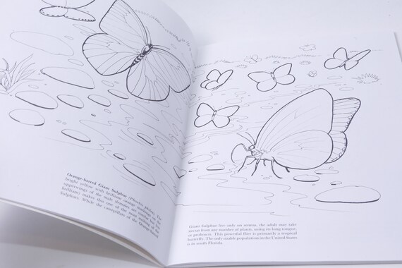 Butterflies jan sovak monty reid dover coloring book zoology vintage nature animals child reading nursery library m