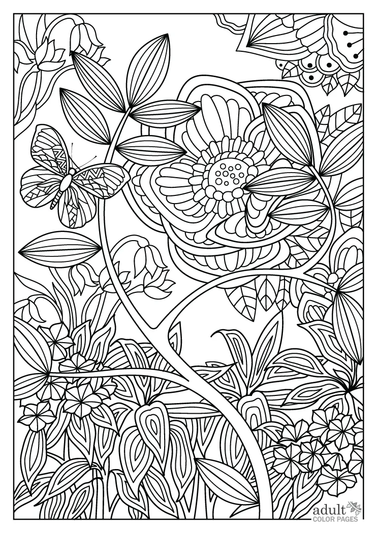 Free printable nature scenery coloring pages for adults