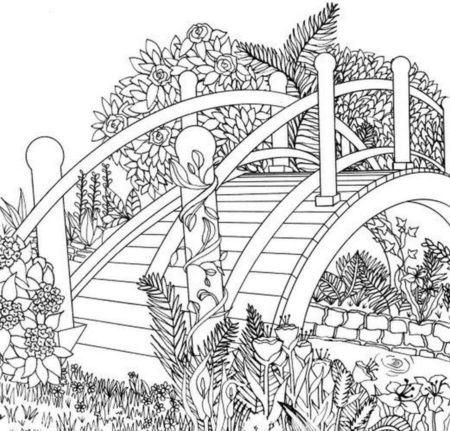 Scenery coloring pages for adults pictures free printable