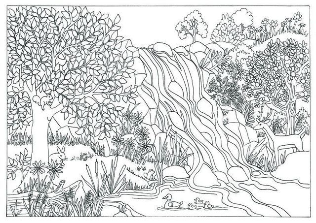 Pretty awesome waterfall coloring sheet coloring pages nature animal coloring pages coloring pages