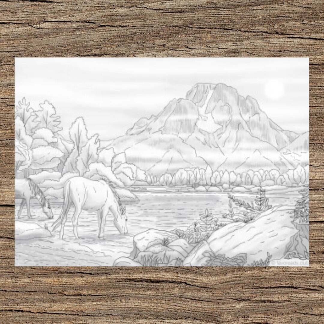 Nature landscape printable adult coloring page from