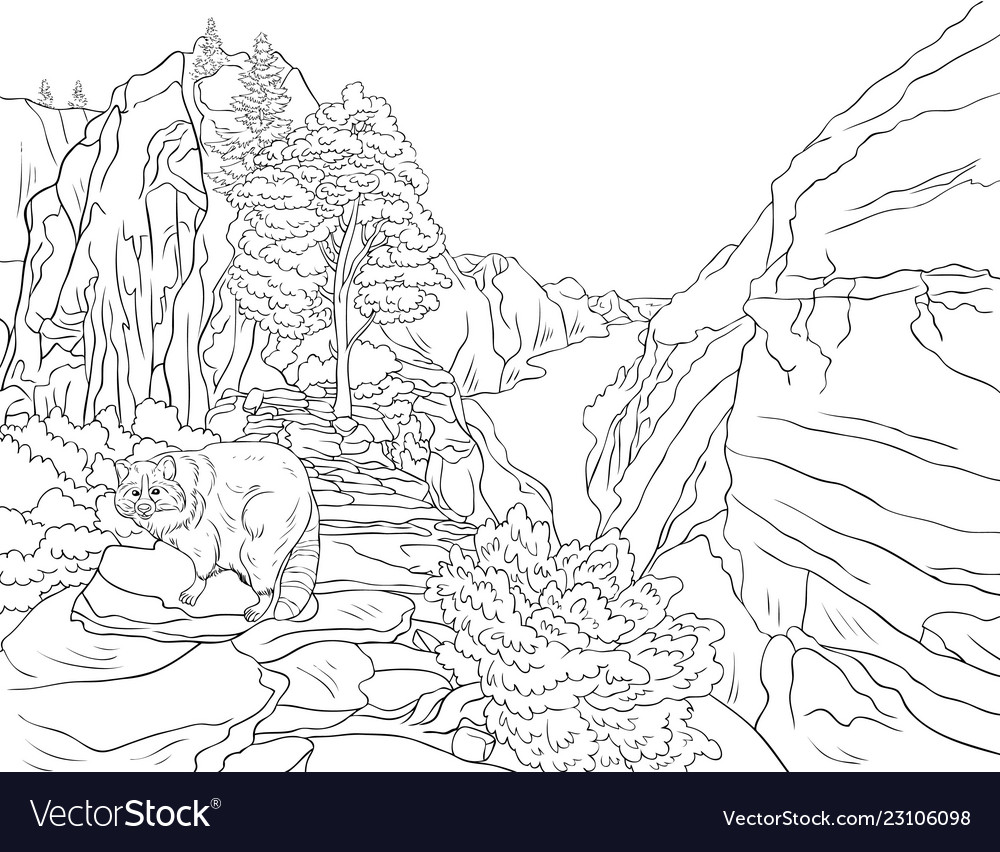 Adult coloring bookpage a nature landscape vector image