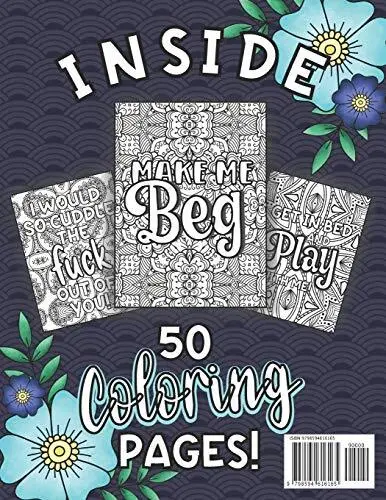 A dirty adult coloring book for women a filthy naughty coloring book filled w