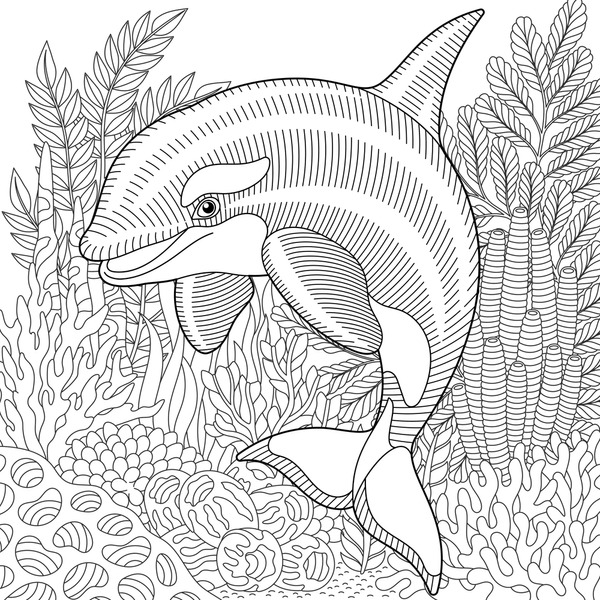 Adult coloring book dolphin images stock photos d objects vectors