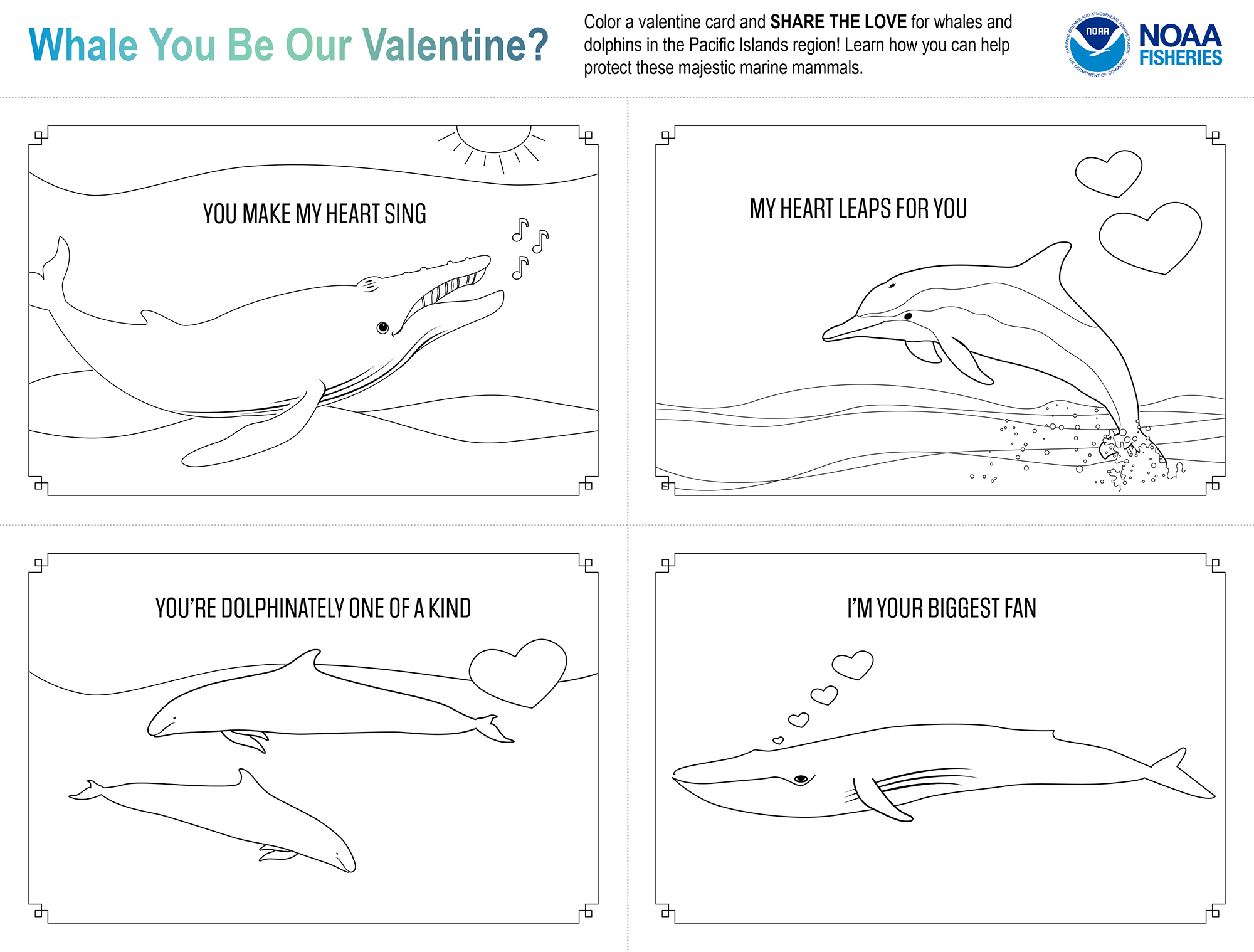 Valentine cards to âshare the loveâ for marine animals in the pacific islands region