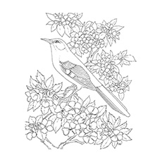 Top free printable bird coloring pages online