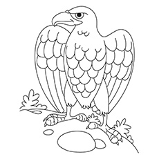 Top free printable bird coloring pages online