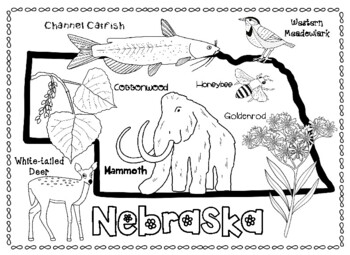 Nebraskas state symbols by connecting with social studies tpt