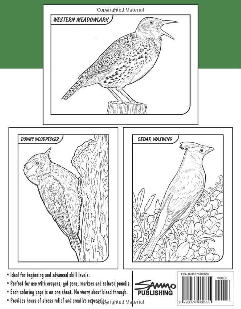 Birds of nebraska coloring book for kids teens adults a collection of mon unique birds of nebraska for bird watchers to identify and color morrison sam books