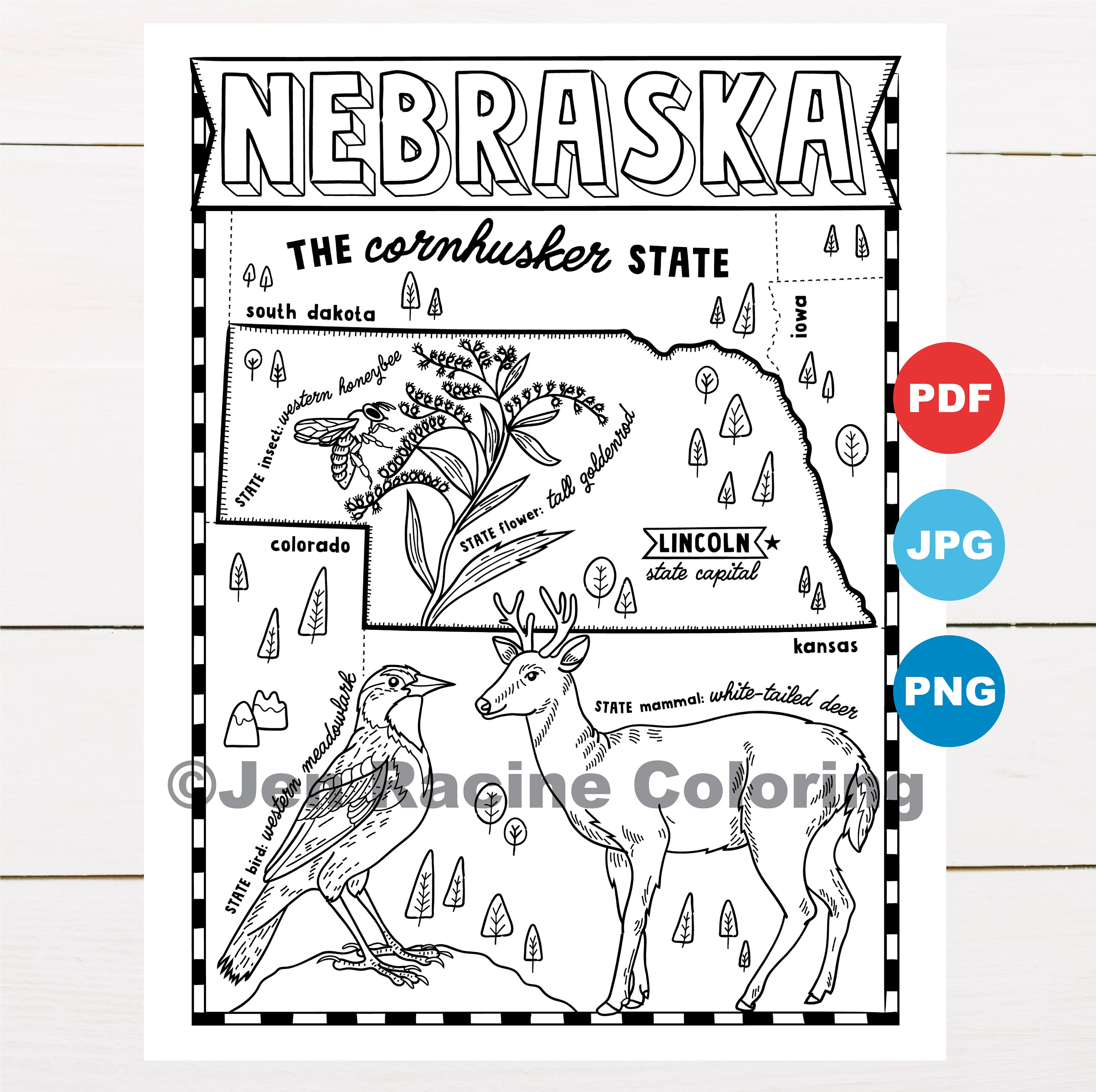 Nebraska coloring page united states state map wildlife state symbols flowers coloring pages download now