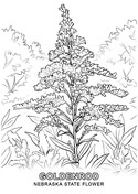 Nebraska coloring pages free coloring pages