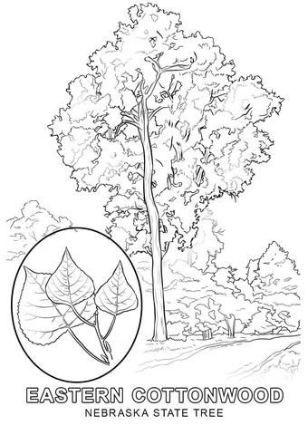 Nebraska coloring pages free coloring pages