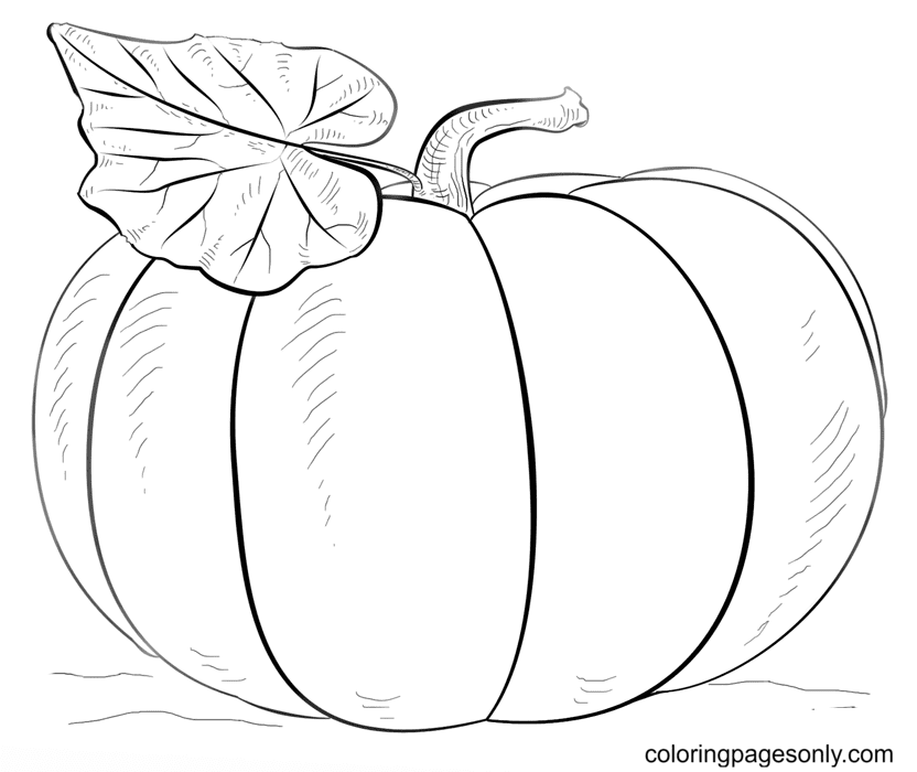 Pumpkin coloring pages printable for free download