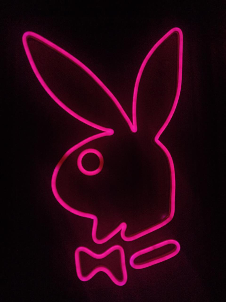 Download Free 100 + neon playboy bunny Wallpapers