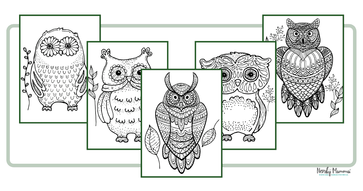 Owl coloring pages