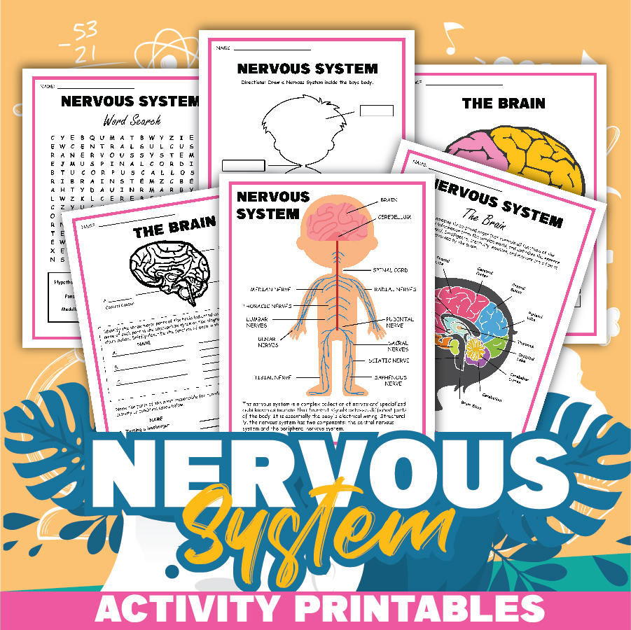 Fun nervous system printable activity pack