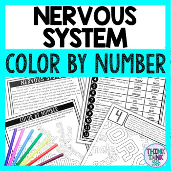 Nervous system color by number