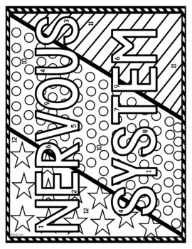 Nervous system color by number reading passage and text marking