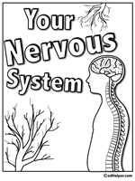 Free nervous system