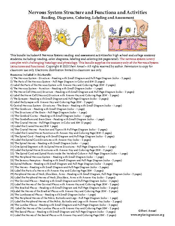 Nervous system reading color diagrams labeling and coloring activities