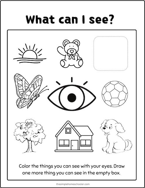 Best senses coloring pages free easy print