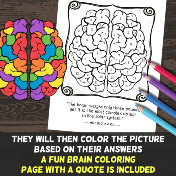 Nervous system color by number