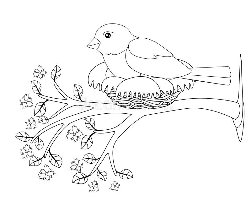 Bird nest coloring stock illustrations â bird nest coloring stock illustrations vectors clipart