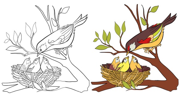 Bird nest coloring page royalty