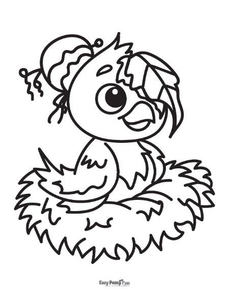 Printable bird coloring pages