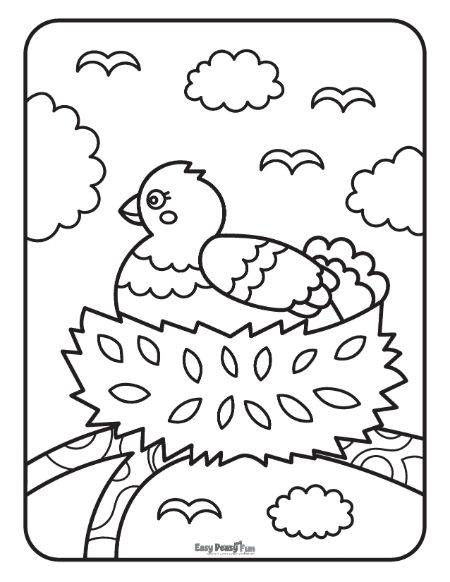 Printable bird coloring pages