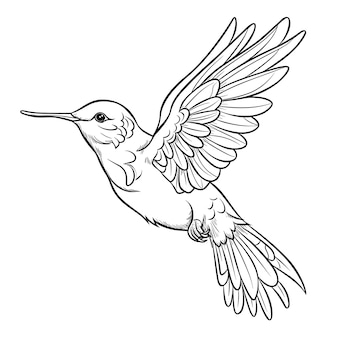 Page bird nest colouring page images