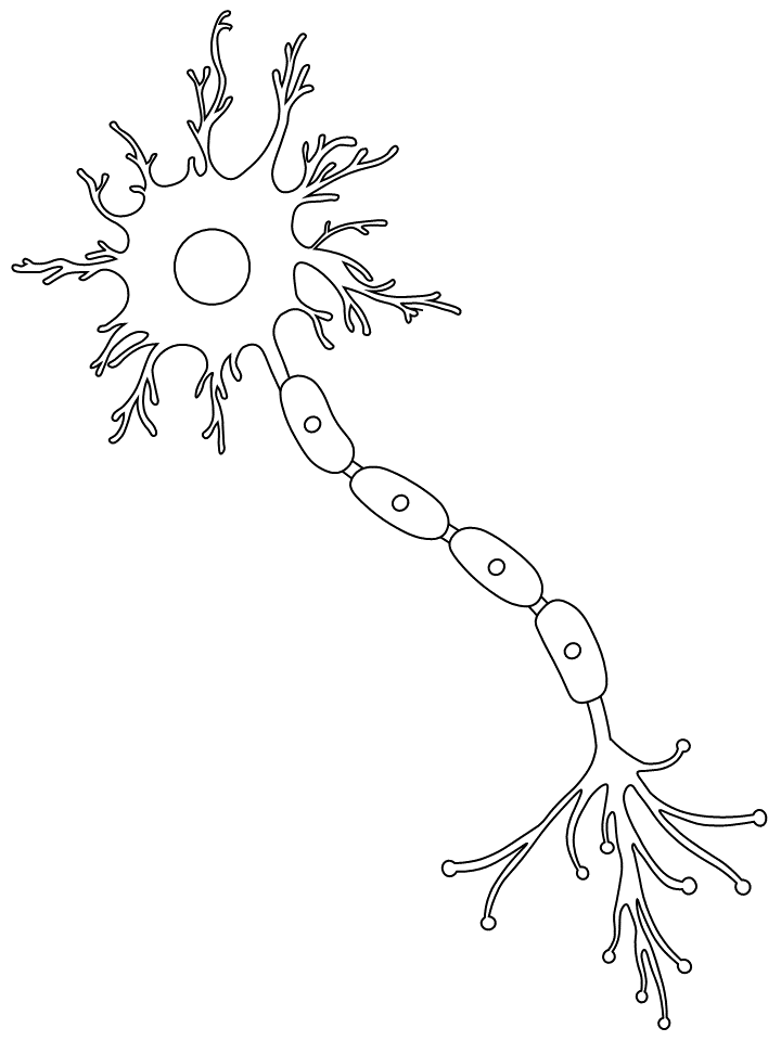 Printable coloring page neuron