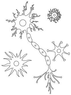 Brain coloring pages