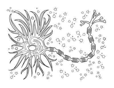 Neuron coloring sheet casey henley phd