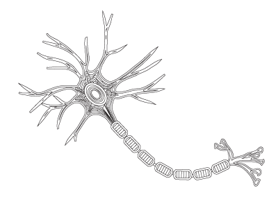 Neuroscience coloring sheets casey henley phd