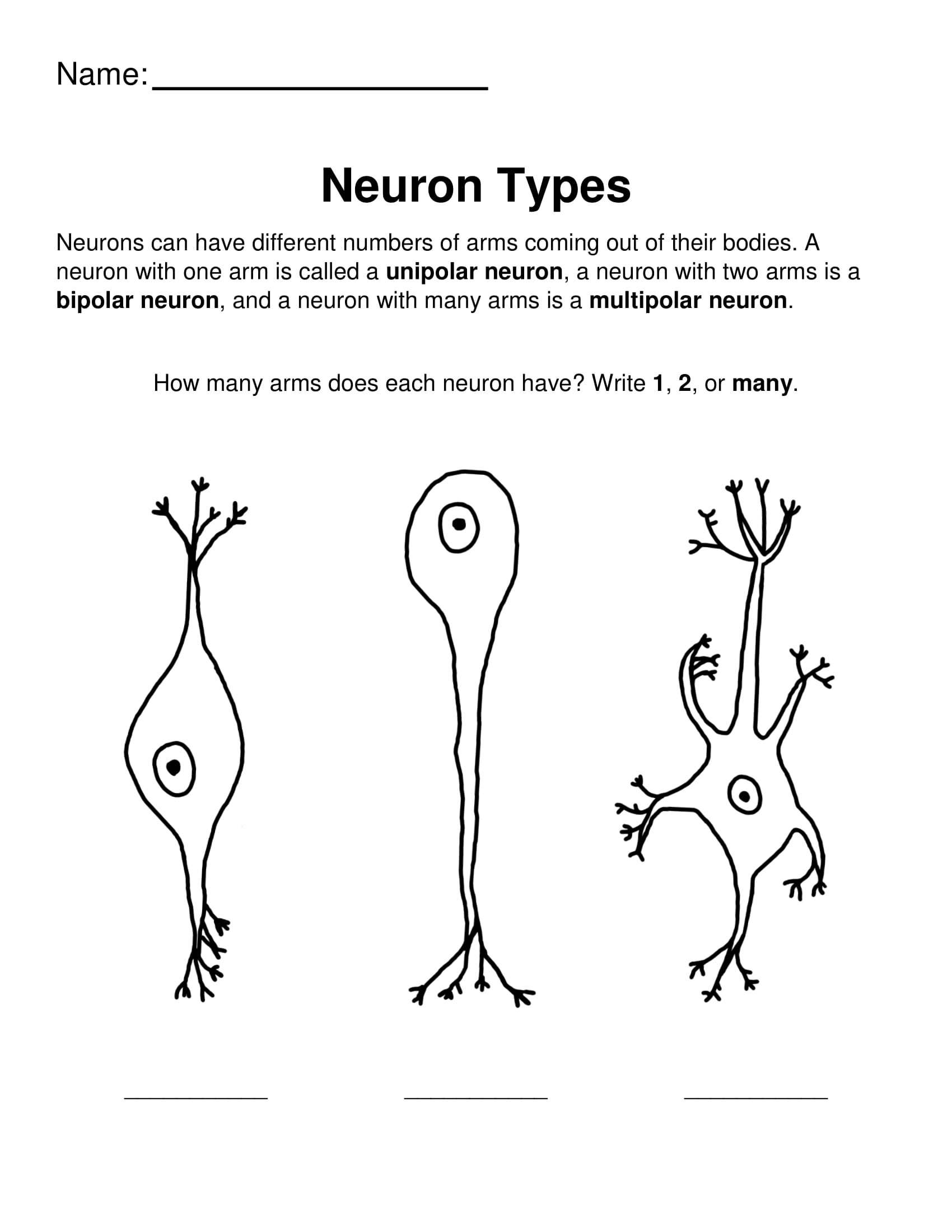 Neuro coloring ppages â glia