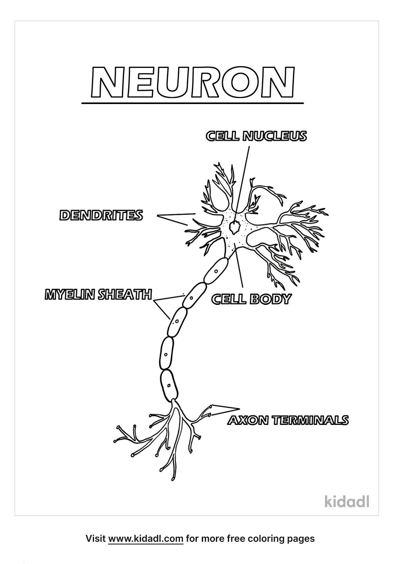 Free neuron coloring page coloring page printables