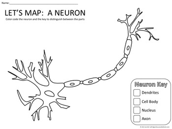 Lets map a neuron by a house called home tpt