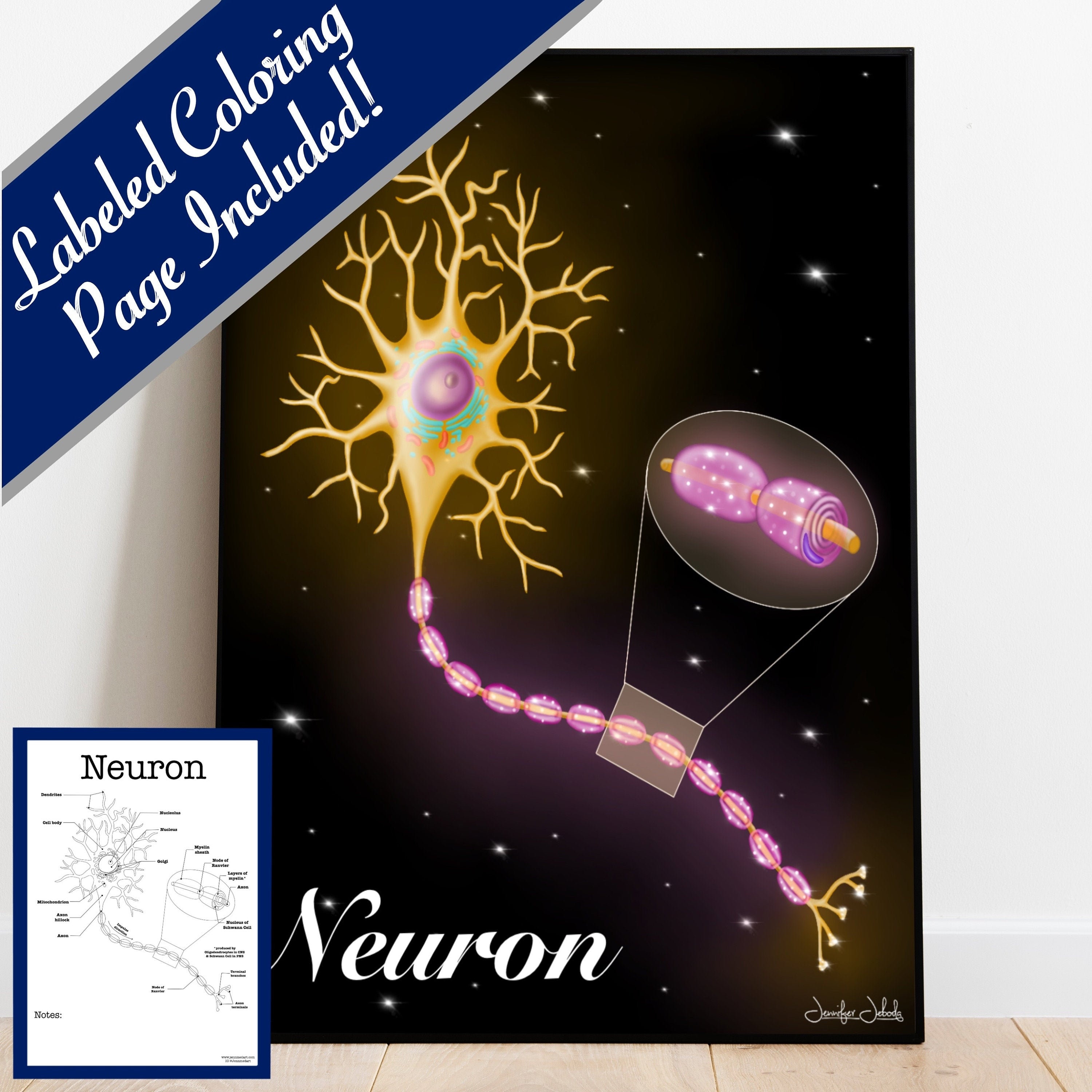 Neuron printable