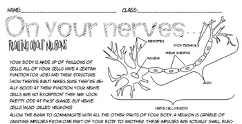 No prep nervous system neuron close reading coloring pg jr high ela science ian