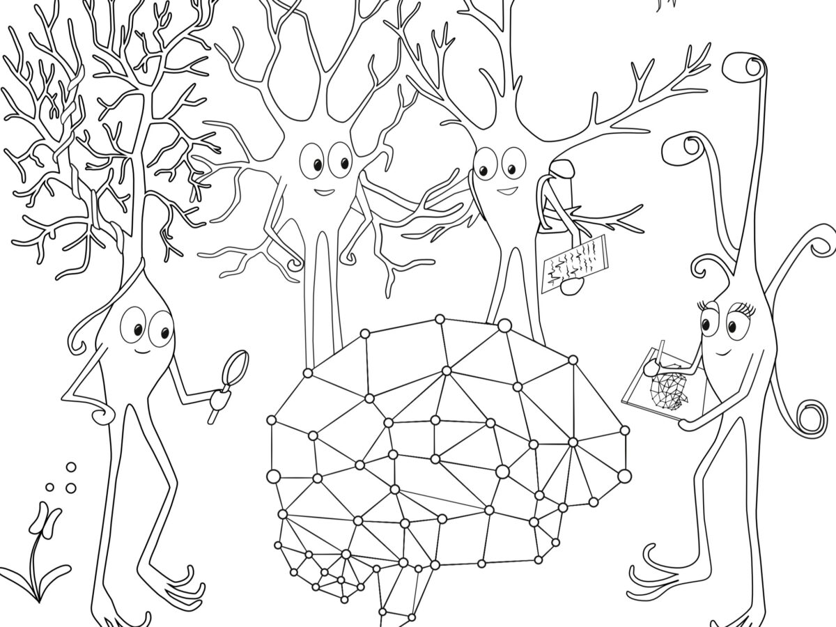 New colouring book helps people have fun while learning about the human brain