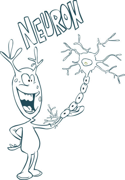 White background vector illustration of a neuron stock illustration