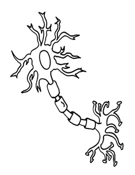 Neuron coloring by stellar science tpt