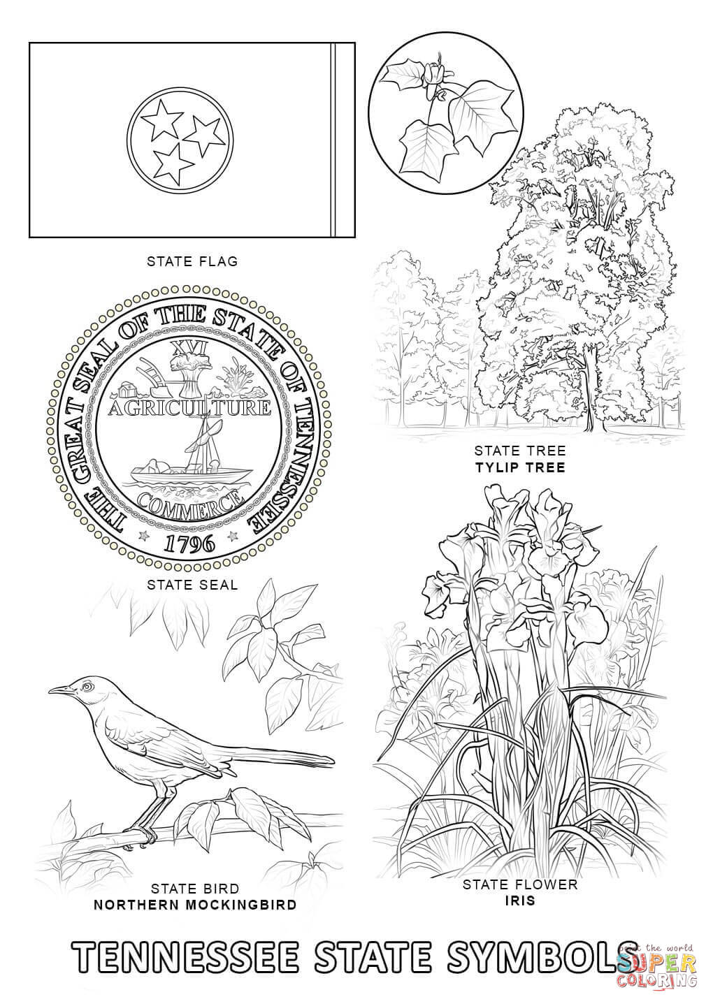 Nevada state symbols coloring pages